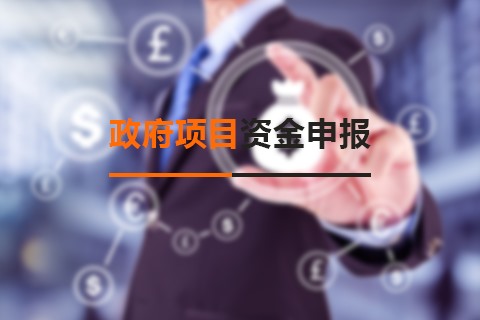 政府項目資金申報