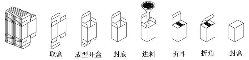 利悅自動(dòng)數(shù)數(shù)立式裝盒機(jī)包裝流程示意圖